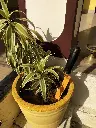 C1brQNkjflS.webp