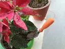71nuHQbGKPL.webp