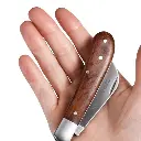 X (679 x 679 px).webp