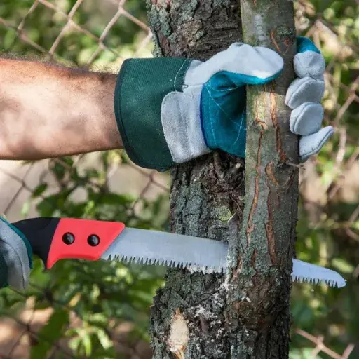 HPS-22 PRUNING SAW